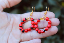Load image into Gallery viewer, Huayruro Seed Earrings