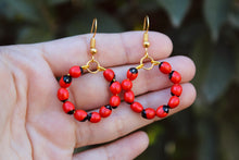 Load image into Gallery viewer, Huayruro Seed Earrings